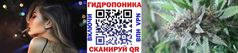 Конопля ГИДРОПОН  blacksprut вход  Болохово  как найти закладки 